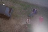 img031.jpeg.small.jpeg
