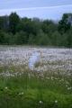img034.jpeg.small.jpeg