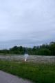 img035.jpeg.small.jpeg