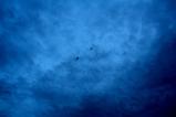 img036.jpeg.small.jpeg