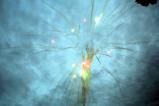 img039.jpeg.small.jpeg