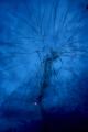 img041.jpeg.small.jpeg