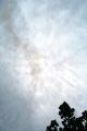 img042.jpeg.small.jpeg